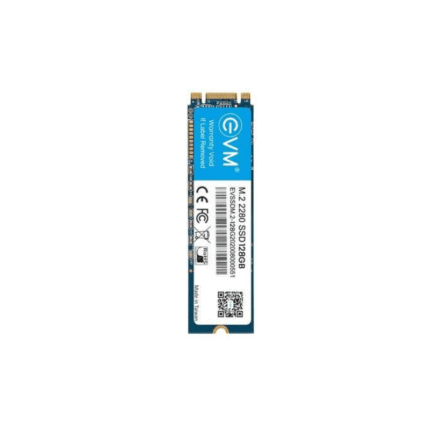EVM 128GB M.2 SATA SSD EVMM2128GB.png