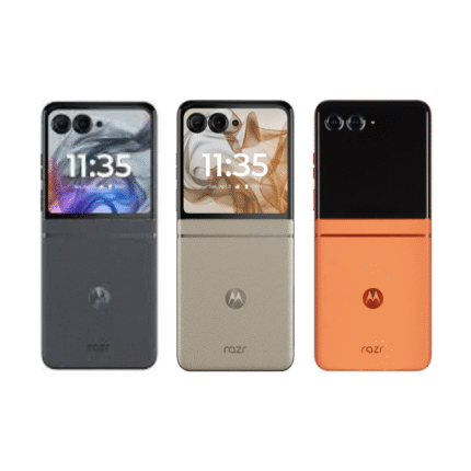 Motorola Razr 50 Back Housing.png