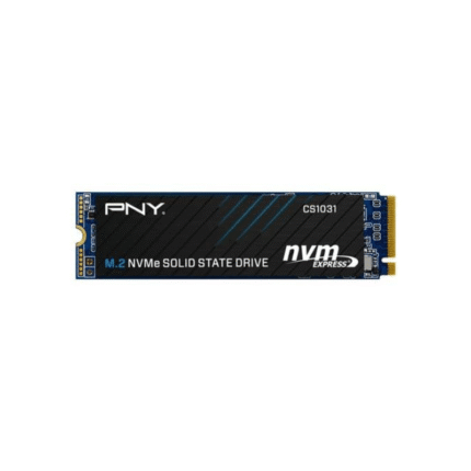 PNY CS1031 256GB M.2 2280 NVMe Gen3x4 SSD.png